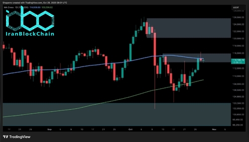 wm BTC D 8 scaled