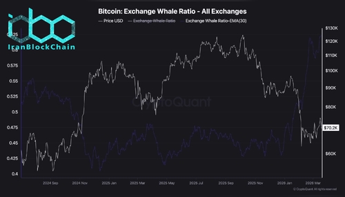 wm Bitcoin Exchange Whale Ratio All Exchanges 1 scaled