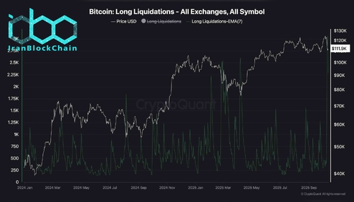 wm Bitcoin Long Liquidations All Exchanges All Symbol scaled