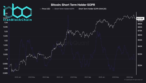 wm Bitcoin Short Term Holder SOPR scaled