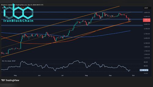 wm ETH Daily 5 scaled