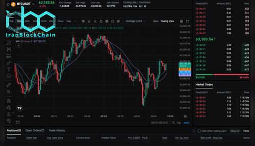 wm Screenshot 2026 03 03 122045