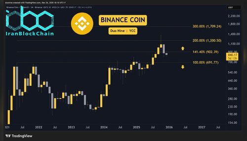 bnb_price_chart_261225