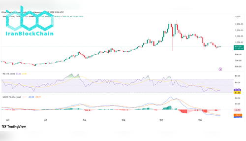 نمودار قیمت BNB