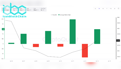 BTC Exchange Netflows