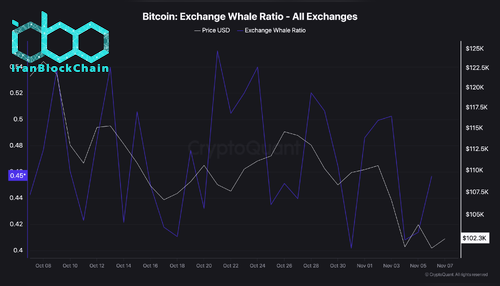 نسبت نهنگهای بیت کوین در صرافیها