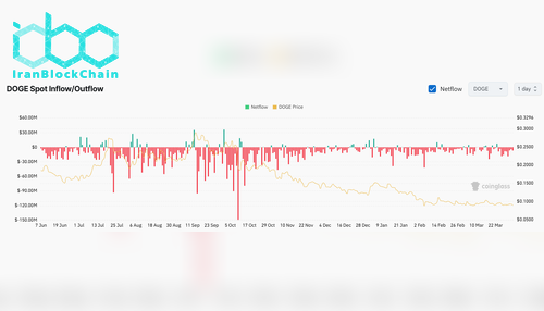 DOGE Exchange Netflow