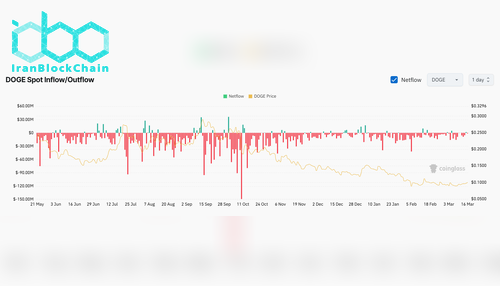 DOGE Exchange Netflow