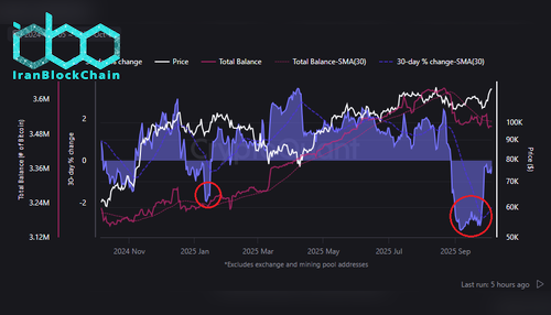 فعالیت نهنگهای بیت کوین (BTC)