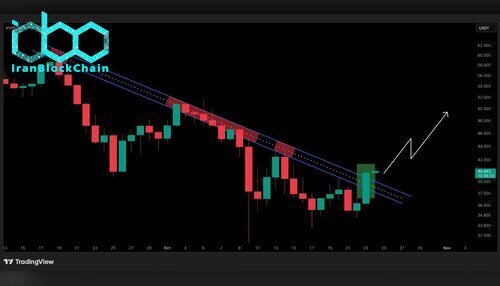 نمودار قیمت HYPE