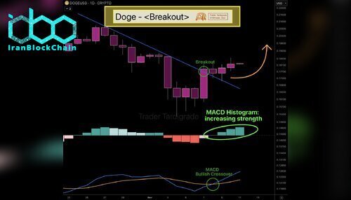 نمودار قیمت دوج کوین (DOGE)