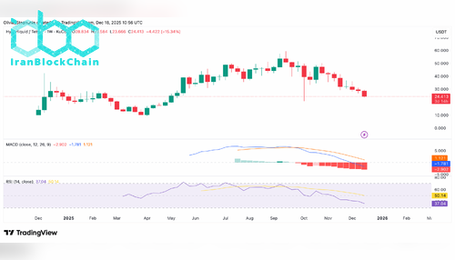 نمودار قیمت HYPE