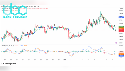نمودار قیمت هایپرلیکویید (HYPE)
