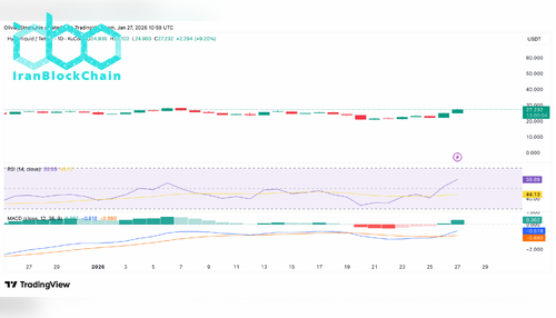 نمودار قیمت HYPE
