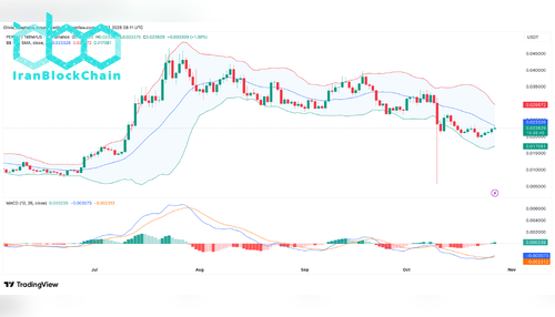 نمودار قیمت PENGU