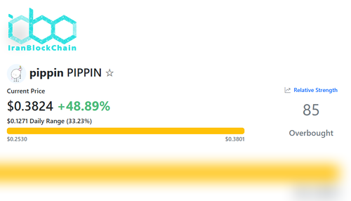 شاخص RSI PIPPIN، منبع: RSI Hunter