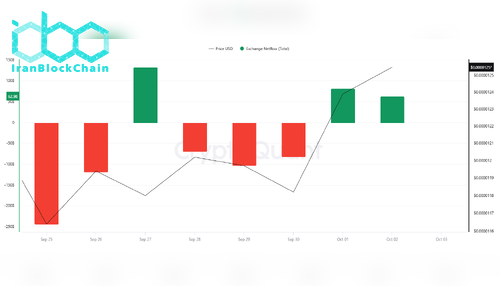 جریان خالص SHIB در صرافی‌ها