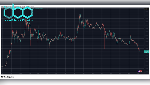 XRPUSD Feb 5. منبع: TradingView